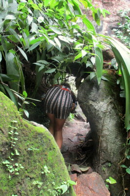 PARQUE LAGE / RIO DE JANEIRO 02/01/2022  IMG_0906.JPG