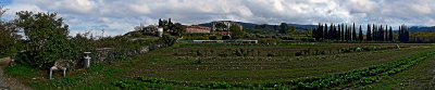 Organic kitchen garden