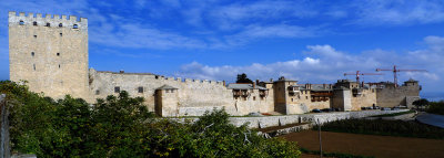 P1060341