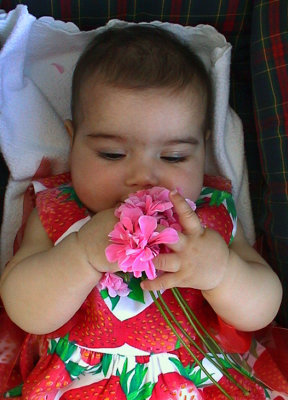 Discovering the sence of smelling