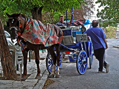 Uber horse