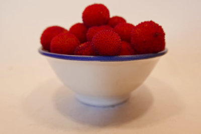 Fruit antioxidants-530