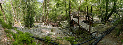 P1540855