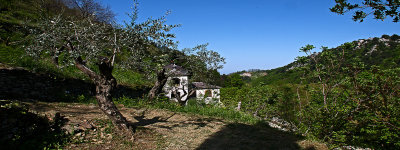 P1540864