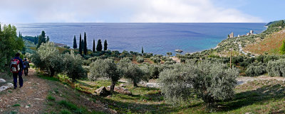 P1560149