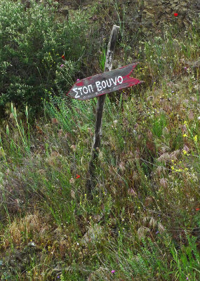 P1100268