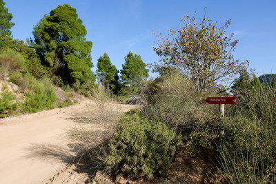 P1550984