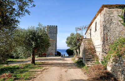P1550989