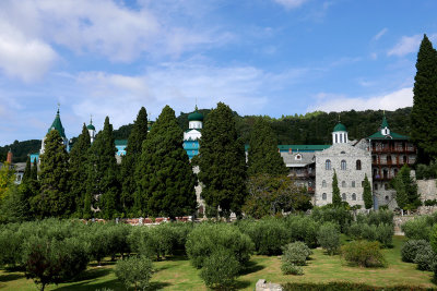 P1560449