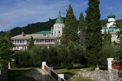 P1560463