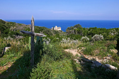P1650584