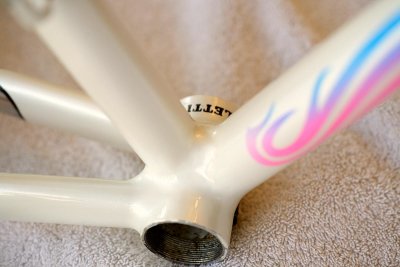 pal5.jpg