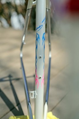pal20.jpg