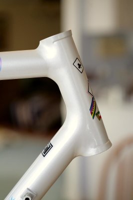 pal3.jpg