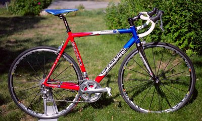 optimo34.jpg