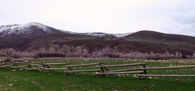 IMG_7113.jpg