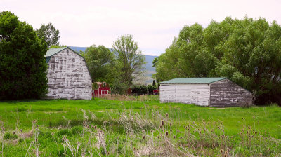 IMG_7180.jpg