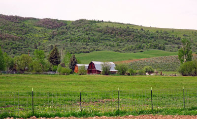 IMG_7187.jpg