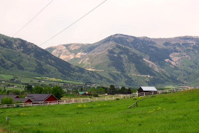 IMG_7211.jpg