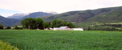 IMG_7215.jpg