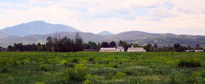 IMG_7216.jpg