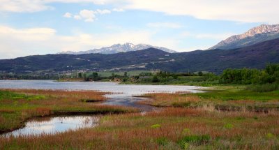 IMG_7218.jpg