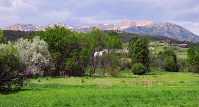 IMG_7229.jpg
