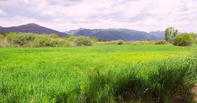 IMG_7231.jpg