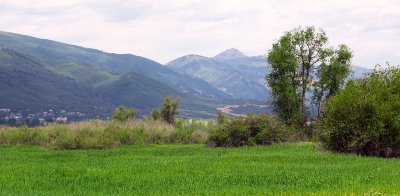 IMG_7232.jpg