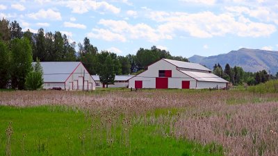 IMG_7235.jpg
