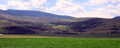 IMG_7241.jpg
