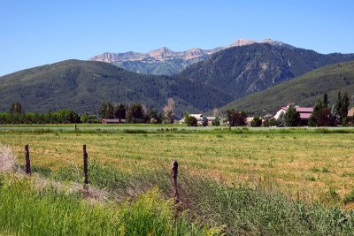 IMG_7283.jpg