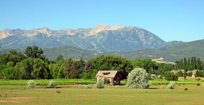 IMG_7346.jpg