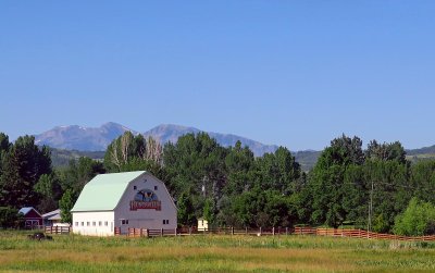 IMG_7350.jpg