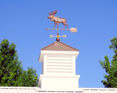 IMG_7353.jpg