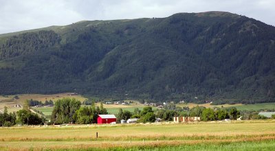 IMG_8531.jpg