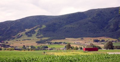 IMG_8537.jpg