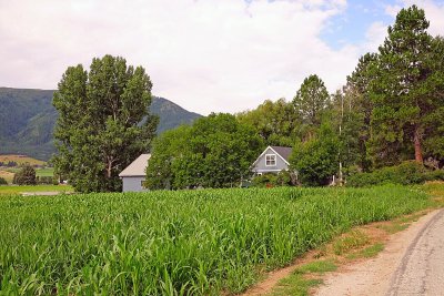 IMG_8538.jpg