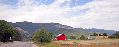 IMG_8541.jpg