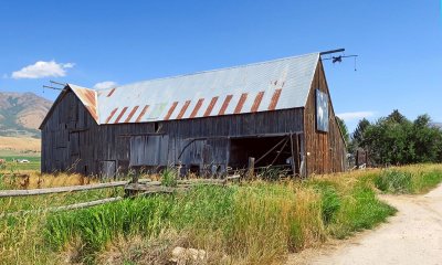 IMG_7503.jpg