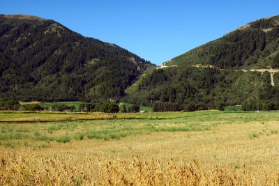 IMG_7555.jpg