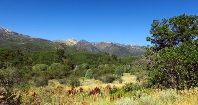 IMG_7568.jpg