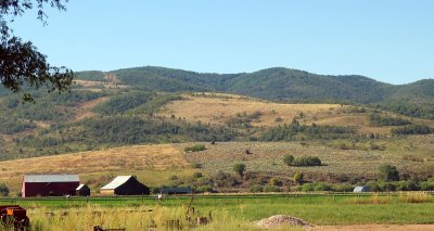 IMG_7606.jpg
