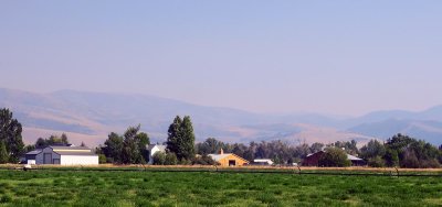 IMG_7650.jpg