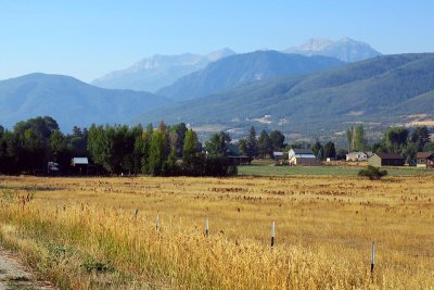 IMG_7672.jpg