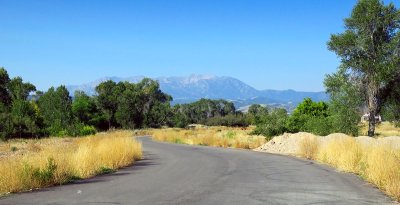 IMG_7688.jpg