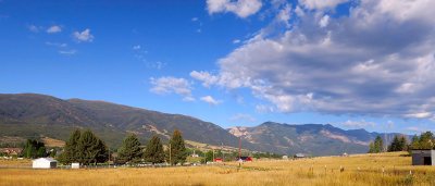 IMG_7693.jpg