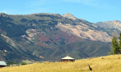 IMG_7813.jpg