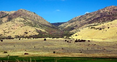 IMG_7867.jpg