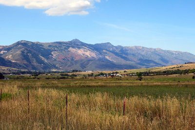 IMG_7870.jpg